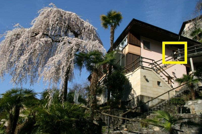 Apartamento Casa Sibylle Locarno Exterior foto